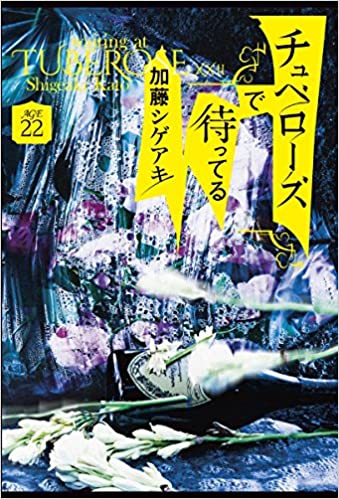 加藤シゲアキ チュベローズで待ってる